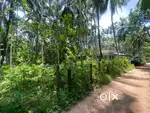 1 acre good plot for house building, farming, or for any projects