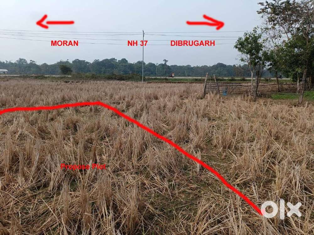 Land Sale at Khowang Dibrugarh