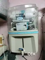 Aqua Decent 1 year old