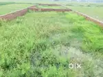 Best place for godown and small factory