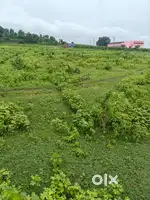 शिव कृपा रेसीडेंसी छिंदवाड़ा