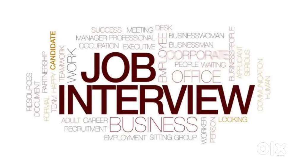 Immediate placement for freshers