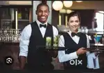 Hotel restaurant waiter service job