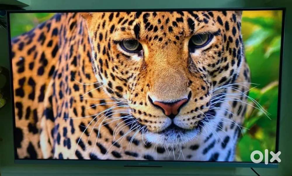 Mi 4k Ultra HD 43 inches android LED TV