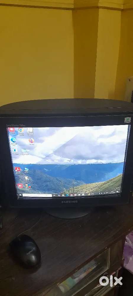 Samsung Computer Monitor 19