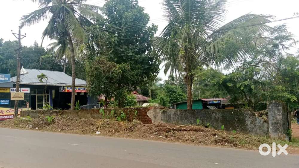 13 cent square plot frontage 19 mtr