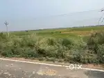 6 katha land road side