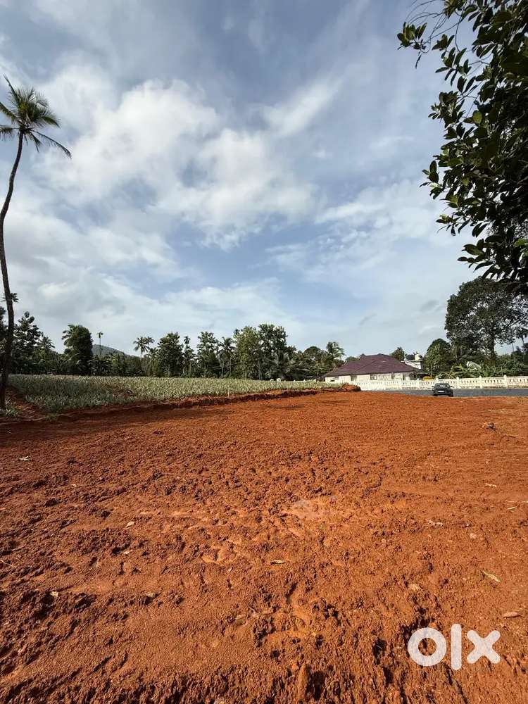 PRIME PLOT FOR SALE - KADALIKKAD