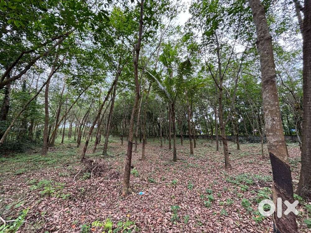 45 cent land in Parippally, suitable for residential plot development
