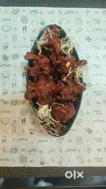 Wanted indo chinese head chef with good taste and experience