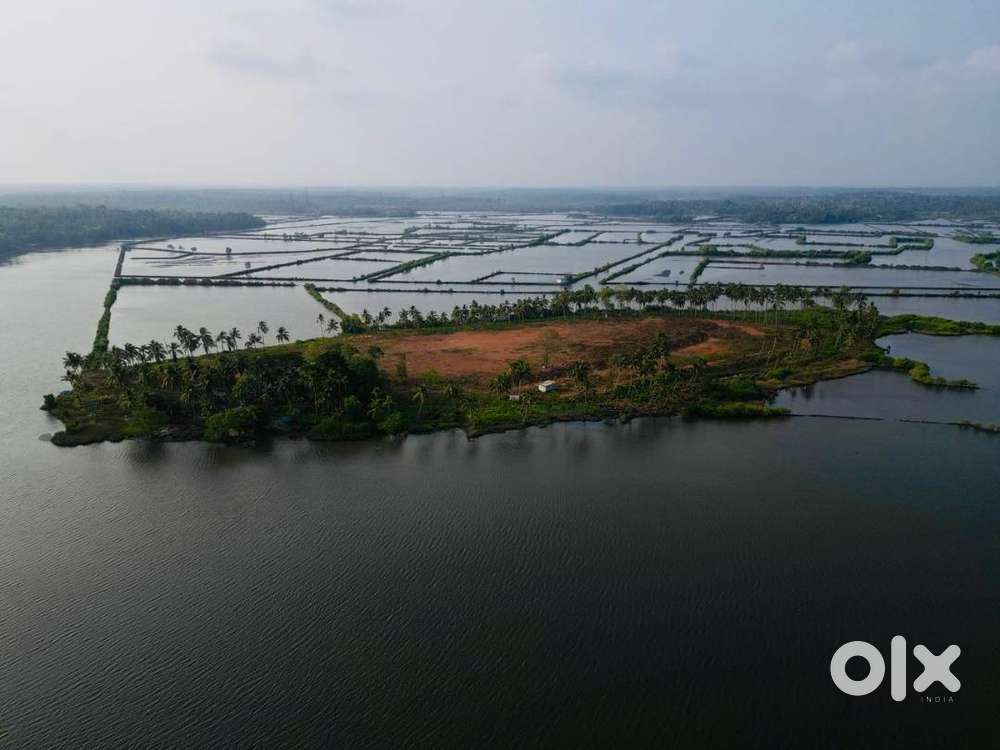 Private 28-Acre Goldfish Island near Kochi Airport for Sale