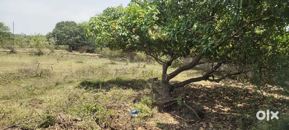 Corner plot farm mate best