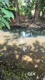RIVER TOUCH PROPERTY AT DODAMARG SATELI, 3623 SQMTS, @₹1690/SQ MTS