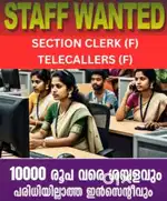 Ladies clerk in a finance company in various braches in Ernakulam.
