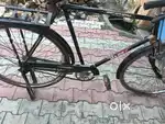 Model 2024 December  New bycycle brand    name Sunbird