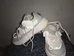 Oggy shoes