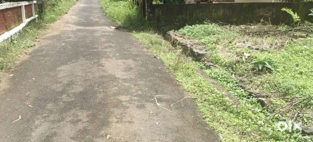 ഏറ്റുമാനൂർ  നീണ്ടൂർ റോഡിൽ നിന്നും 50 mtr ദൂരത്തിൽ 9 സെന്റ് സ്ഥലം