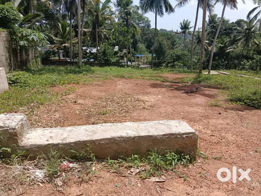 6,6.5 ,12 cent plot mukkampalamoodu chittazha