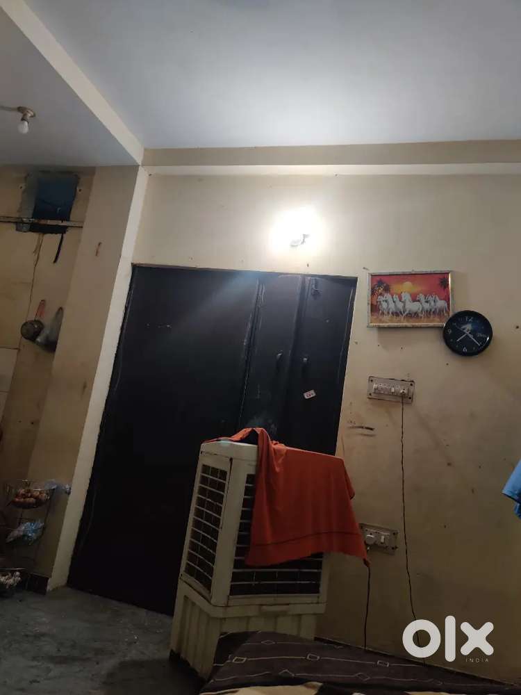 Need roommate