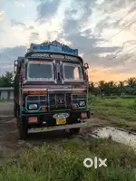 Tata 14 weel