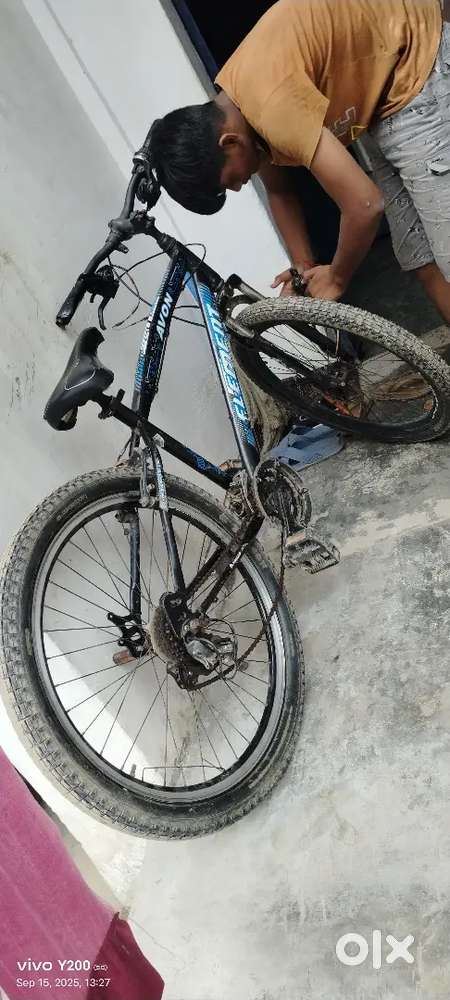 Avon cycle