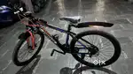 Gear cycle with neon bright color along with torch