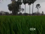 Hotel lo cheyadaniki