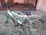 White green body