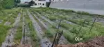 Pune Nashik Bypass touch plot on Rent