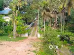 PLOTS FOR SALE IN GATED COMMUNITY AKSHARAVEEDHI ROAD PETTAH