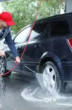 Professional car washer