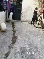 Rent house speacefull