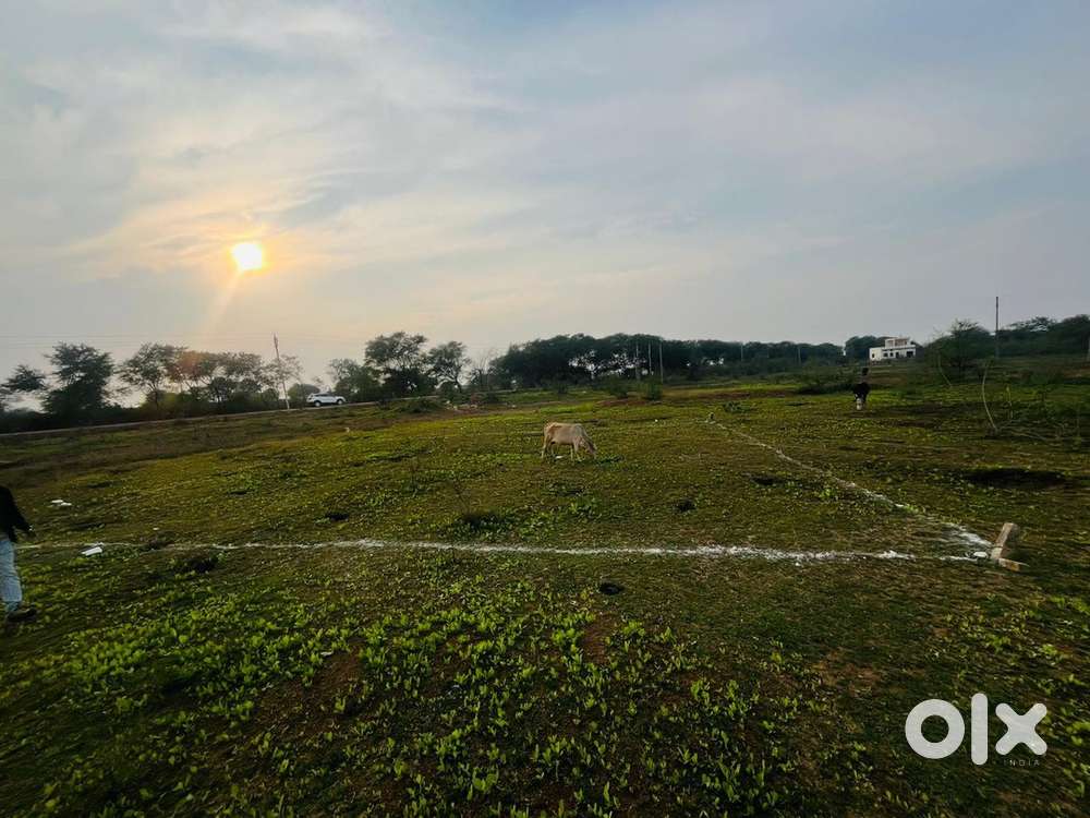 urgently sell 2200 sq. plot at Dhour