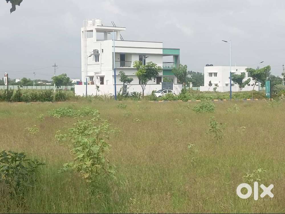 2.17 Cents Layout With TURF COURT