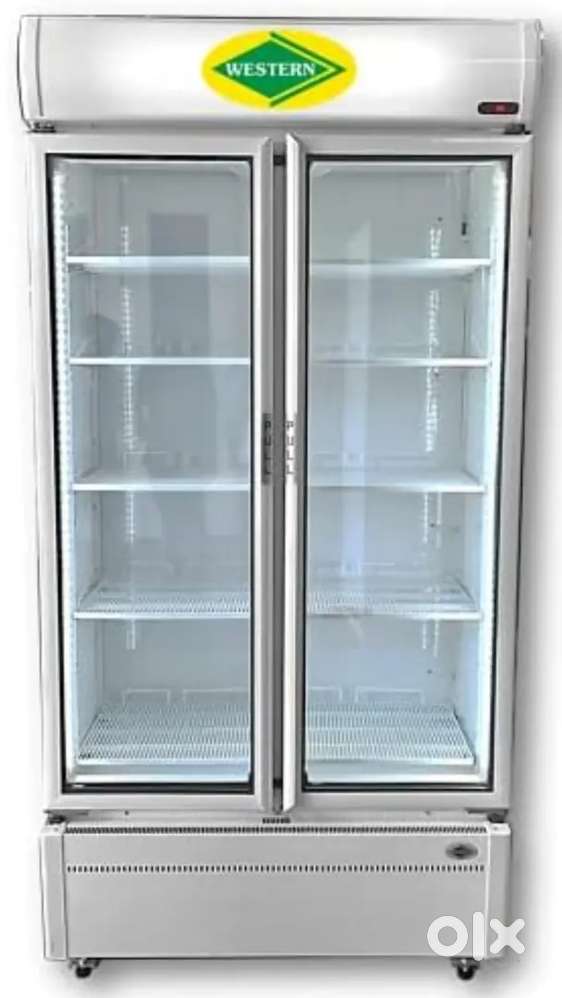 Double door Western Fridge 290litres