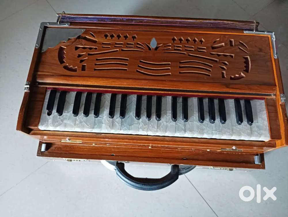 Kolkata made Harmoniam (2 Palitana reed)