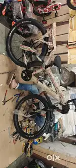 Avon cycle