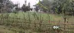 Agriculture, Farming residence plot