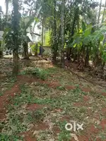 10&20cent plot for sale in Kadachira near NH