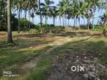 Beach property sale
