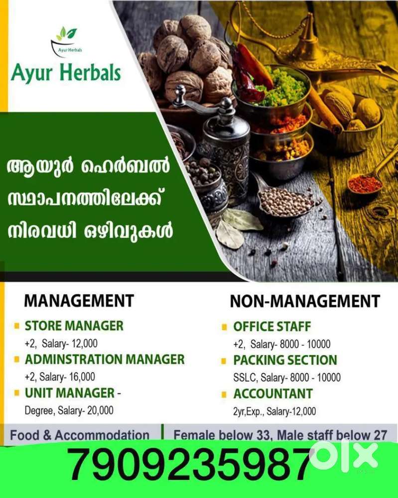 Office staff, junior office. Data entry