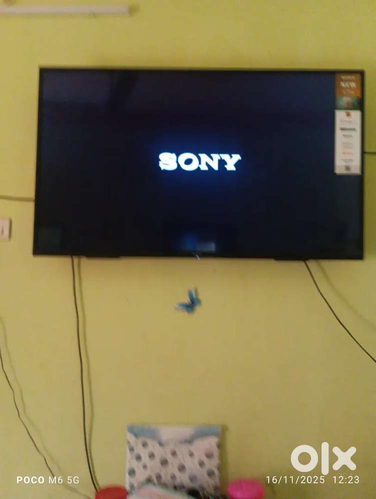 55 inch tv sony
