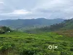 10 cents  Ooty Coonoor scenic  Residential land very scenic for sale