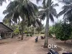 Land / Agriculture land