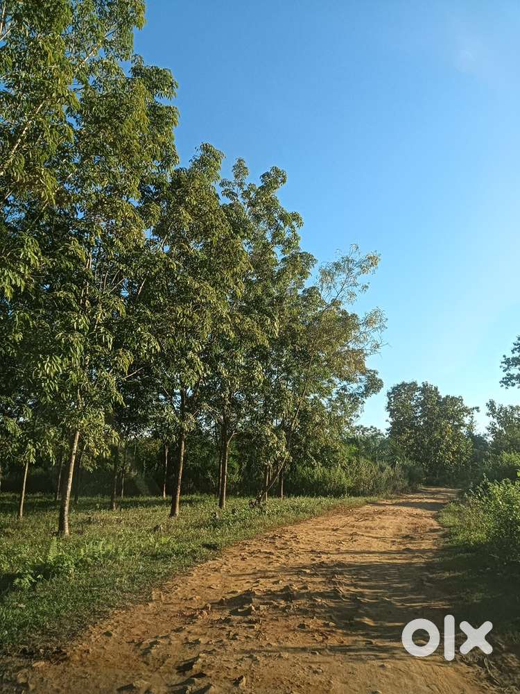 Dry land , Vehicular Road attached on all sides. Electricity provision