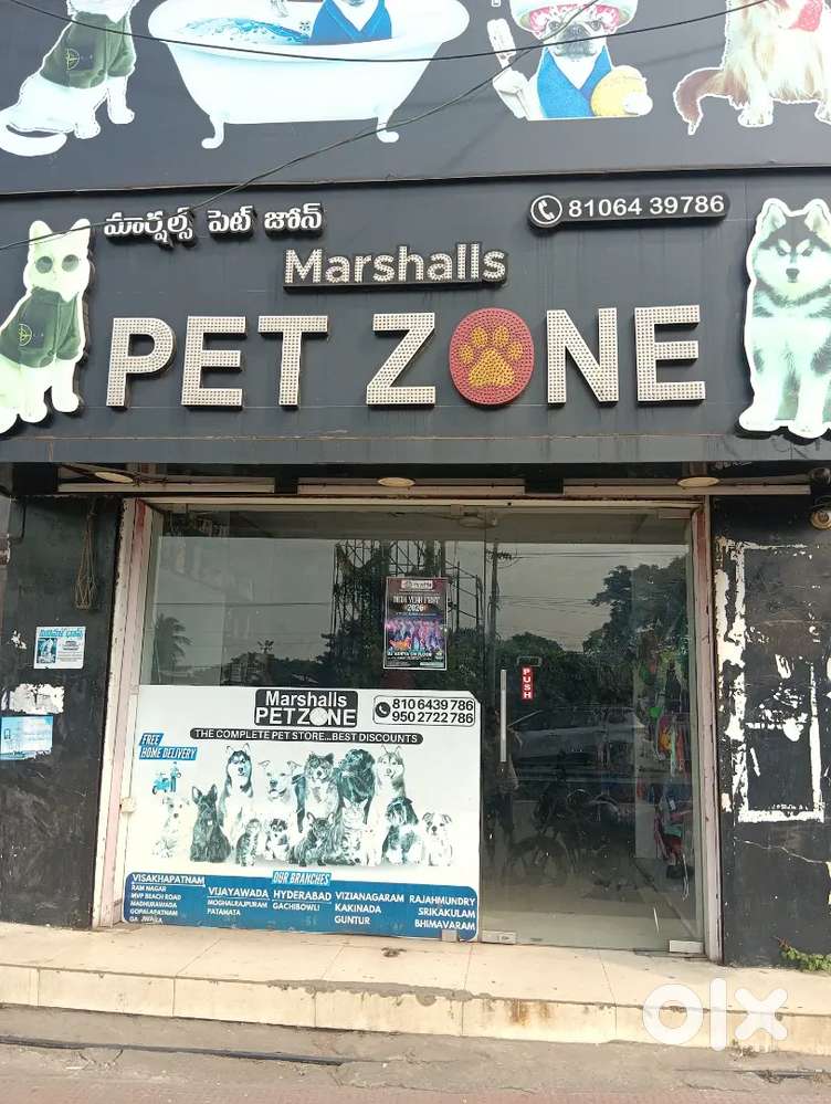 marshal petzone store