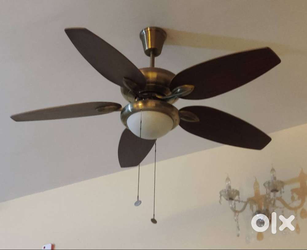 Fanzart vintage fan