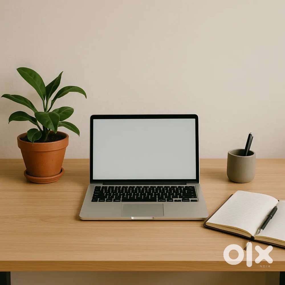 Work as a Consultant and Promoter