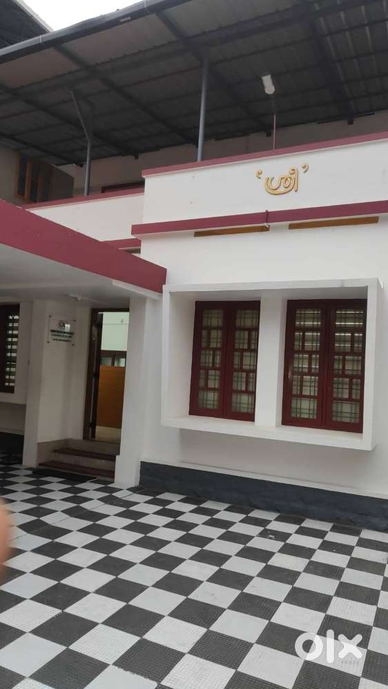 Audit Manager / Junior Audit Manager