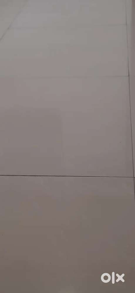 Marketing exicutive  for Elevater company.